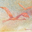 Thumb Zwei Flamingos in der D�mmerung oder nicht